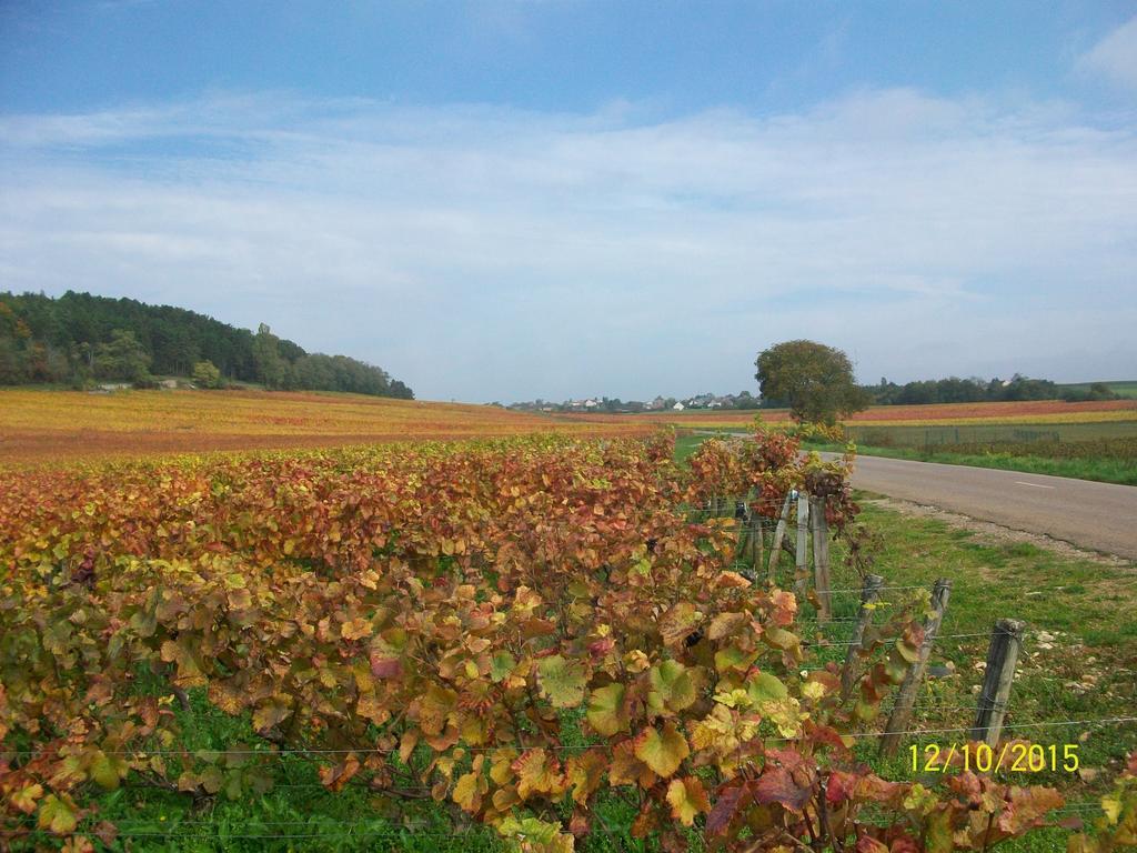 Des Hautes Cotes De Beaune Magny-les-Villers